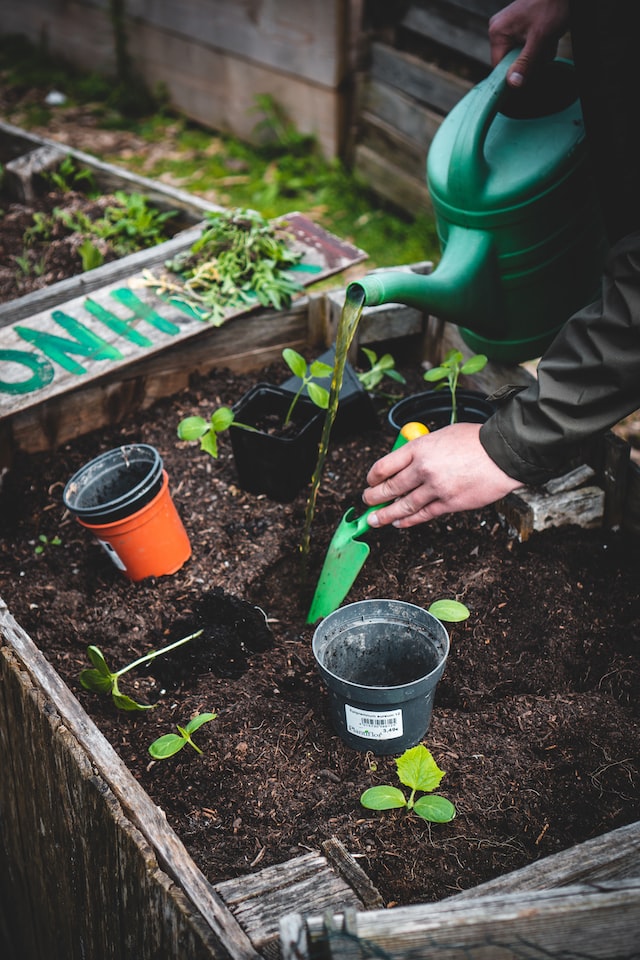 Garden watering