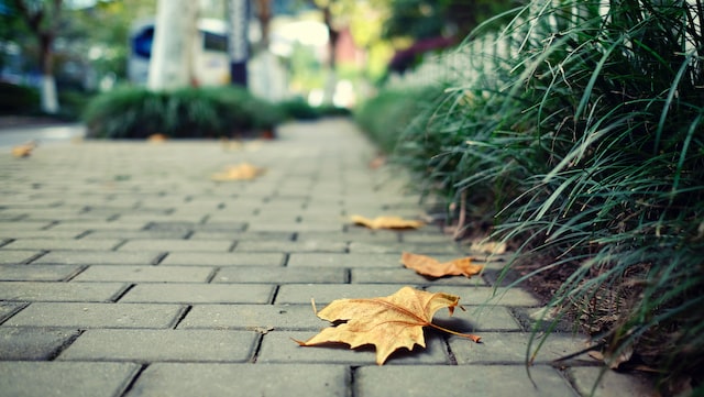 Ways to pick the best Paving Gauteng has to offer